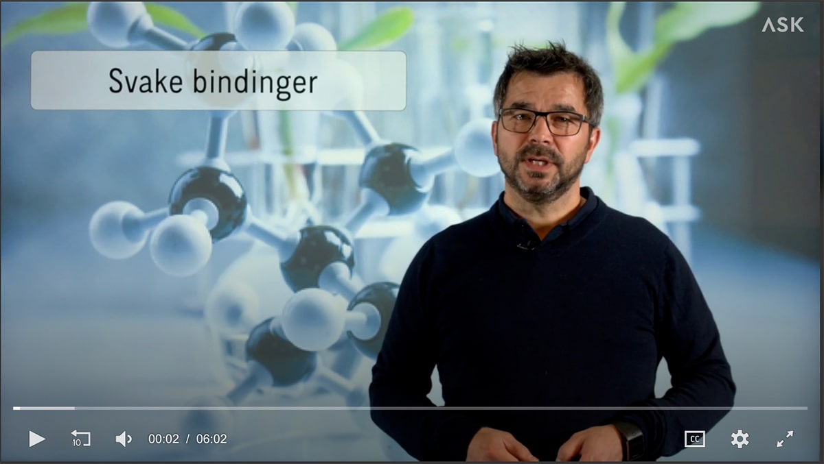 Skjermbilde fra videoundervisning